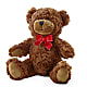Adorable Plush Bear – Acme, Malvern PA