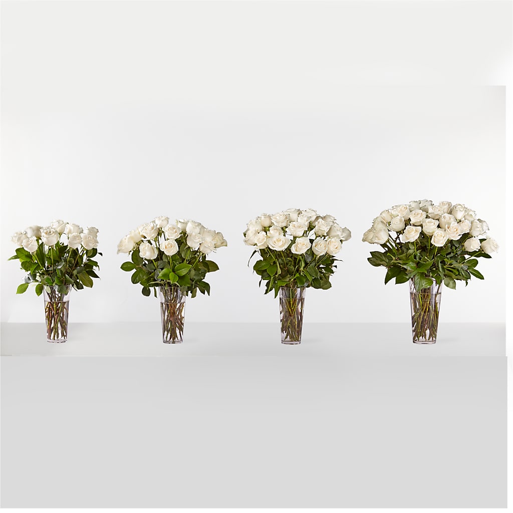 Long Stem White Rose Bouquet – Acme, Malvern PA