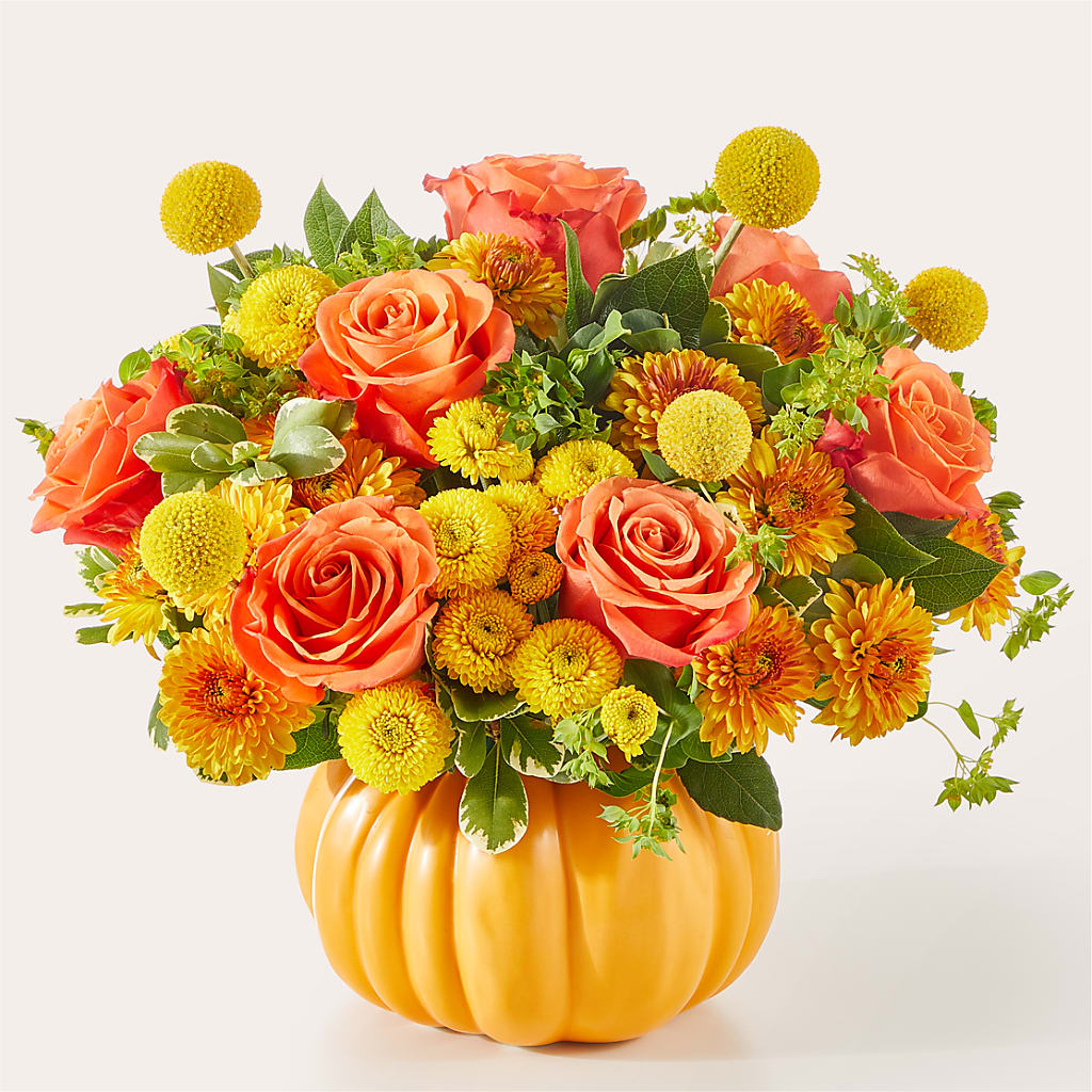 Gourdgeous Pumpkin – Acme, Malvern PA
