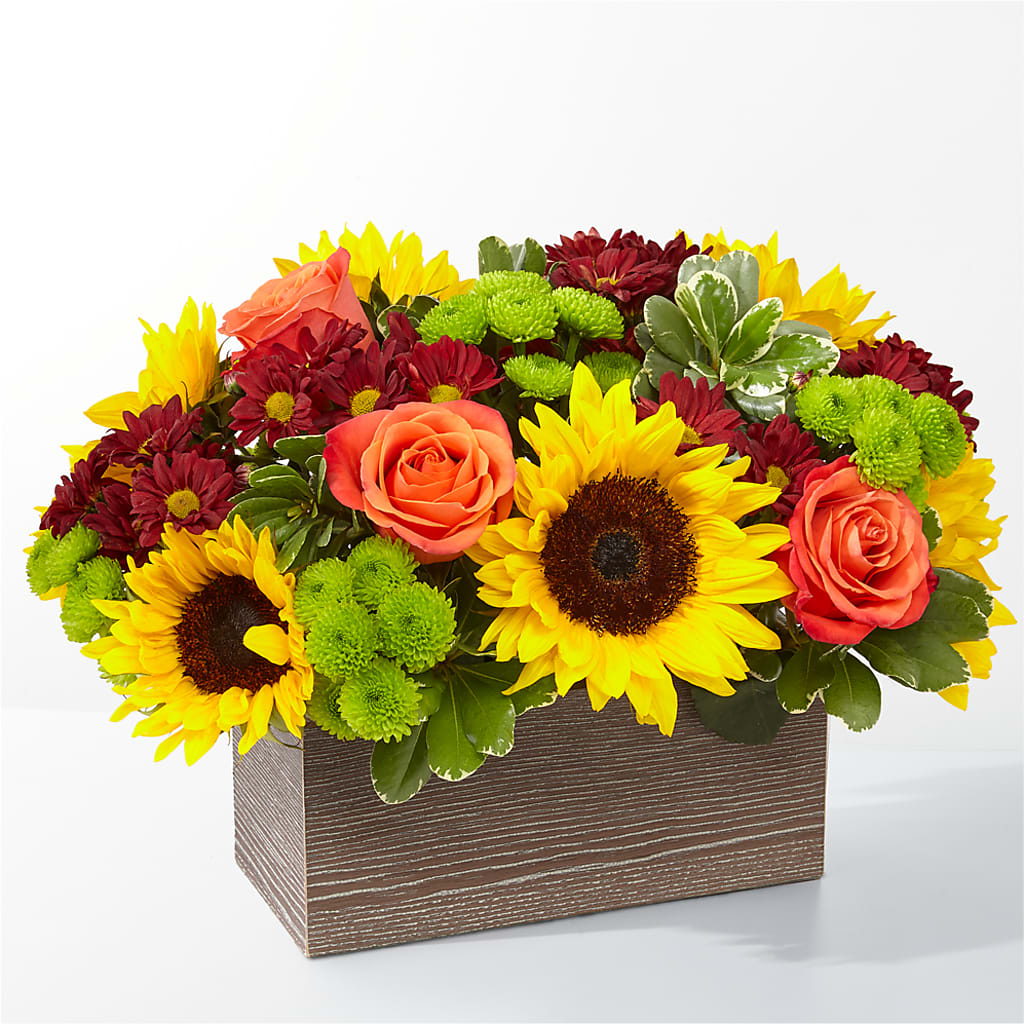 Happy Harvest Garden – Acme, Malvern PA