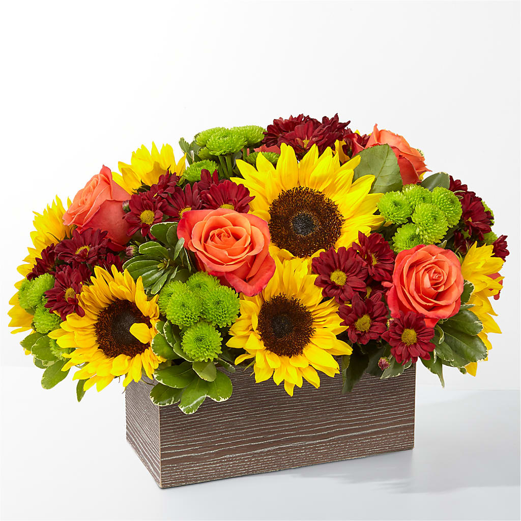 Happy Harvest Garden – Acme, Malvern PA