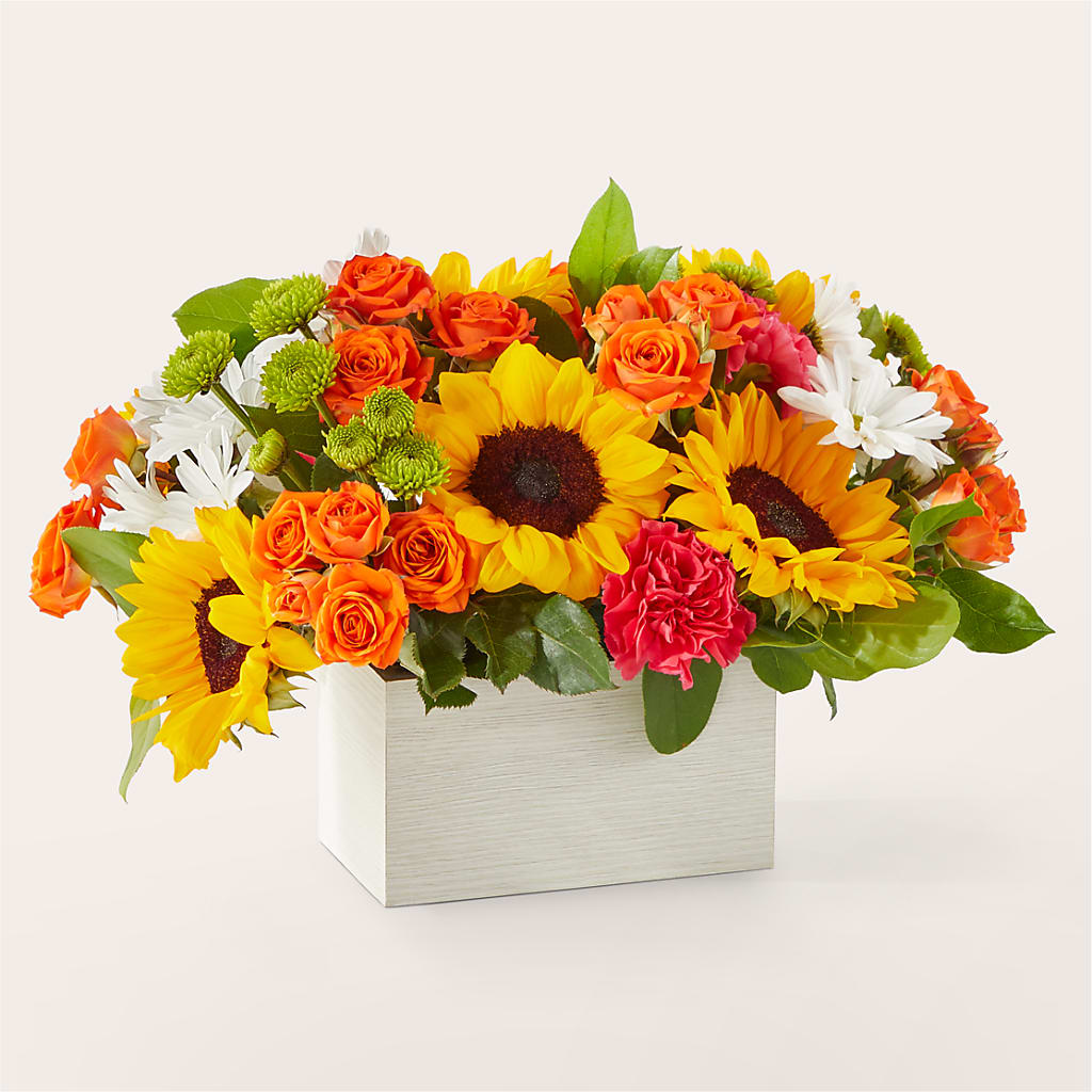Sun-drenched Blooms Box Bouquet – Acme, Malvern PA