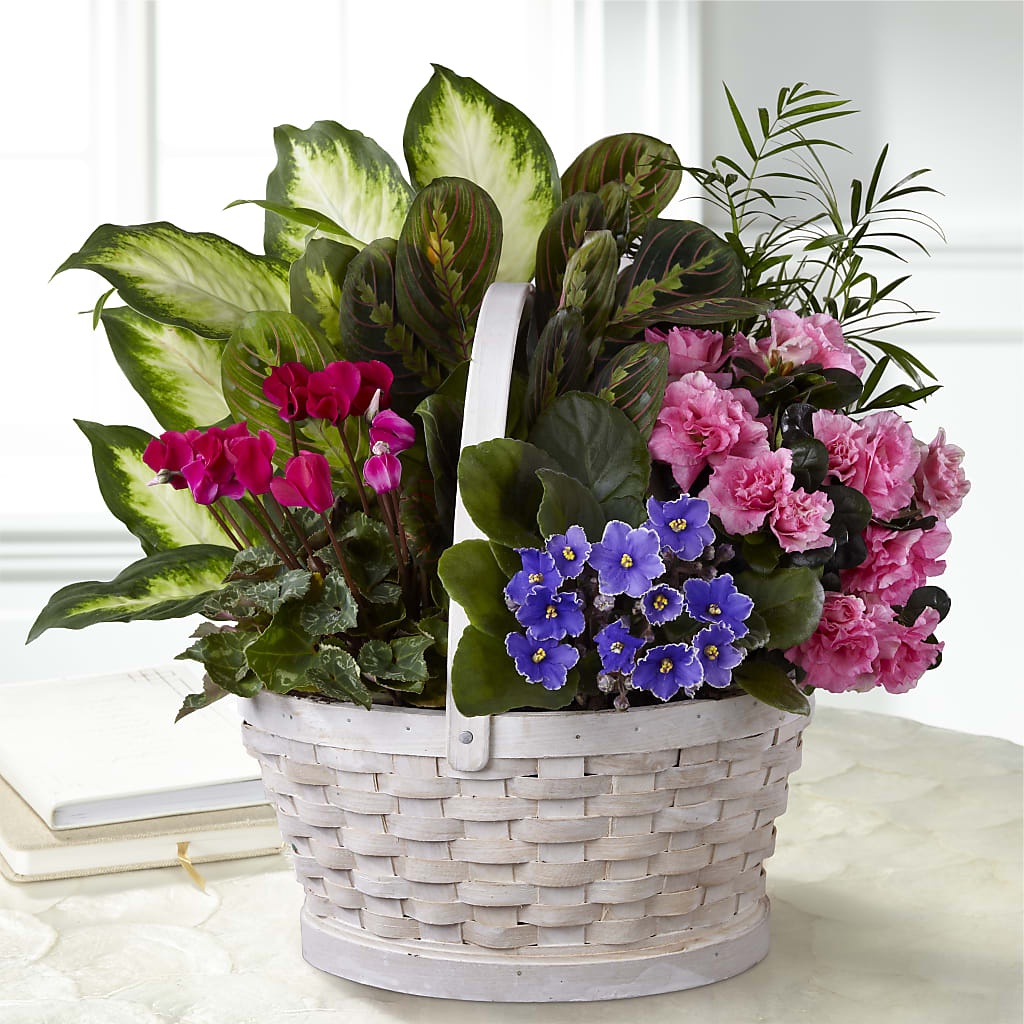 Peaceful Garden Planter – Acme, Malvern PA