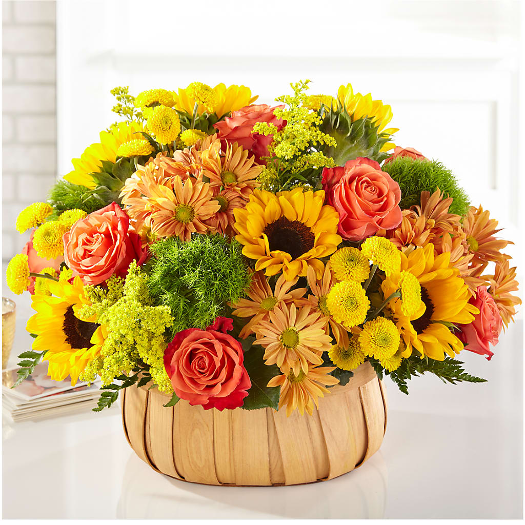 Harvest Sunflower Basket – Acme, Malvern PA