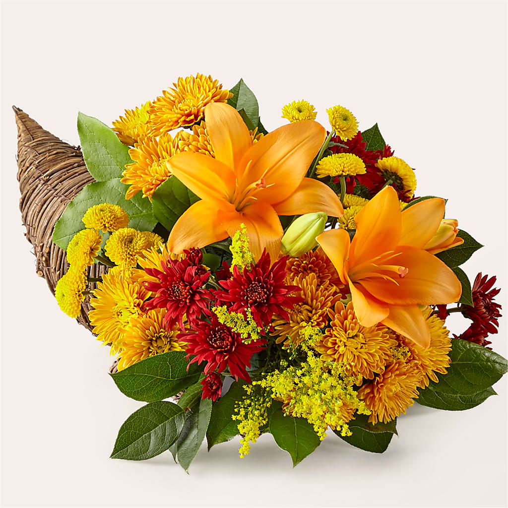 Feast of Color Cornucopia – Acme, Malvern PA