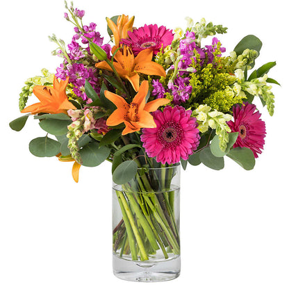 Fiesta Supreme Arrangement –  Acme, Malvern PA