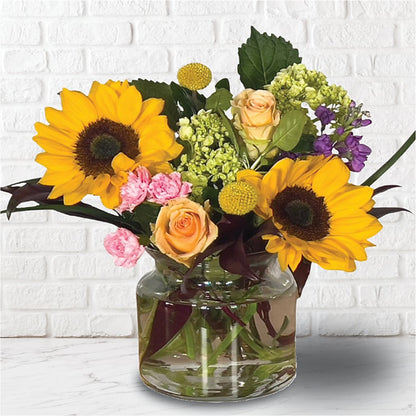 Sunny Elegance Arrangement –  Acme, Malvern PA