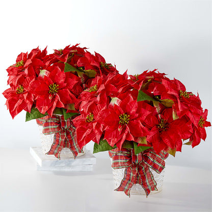 Happiest Holidays Poinsettia Bundle –  Acme, Malvern PA