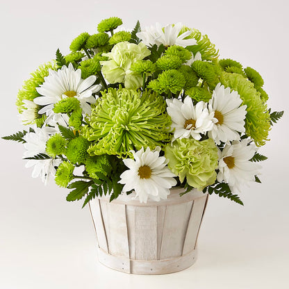 Lucky Charm Basket (Standard) –  Acme, Malvern PA