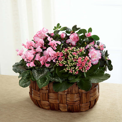 Pink Assortment –  Acme, Malvern PA