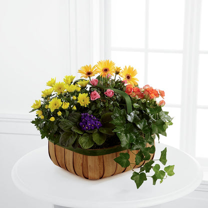 Gentle Blossoms Basket –  Acme, Malvern PA
