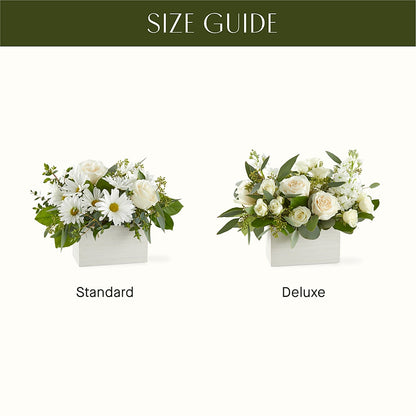 Fresh Linen Box Bouquet –  Acme, Malvern PA