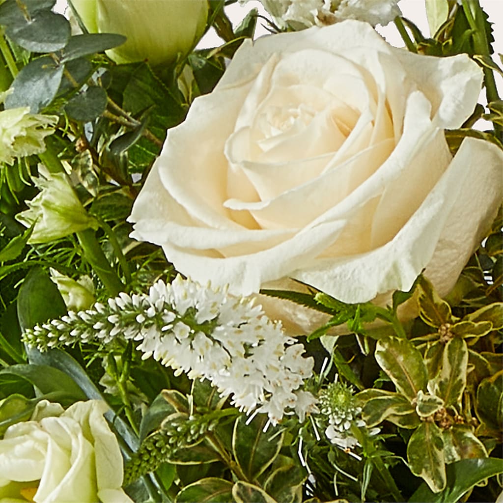 Cashmere Bouquet –  Acme, Malvern PA