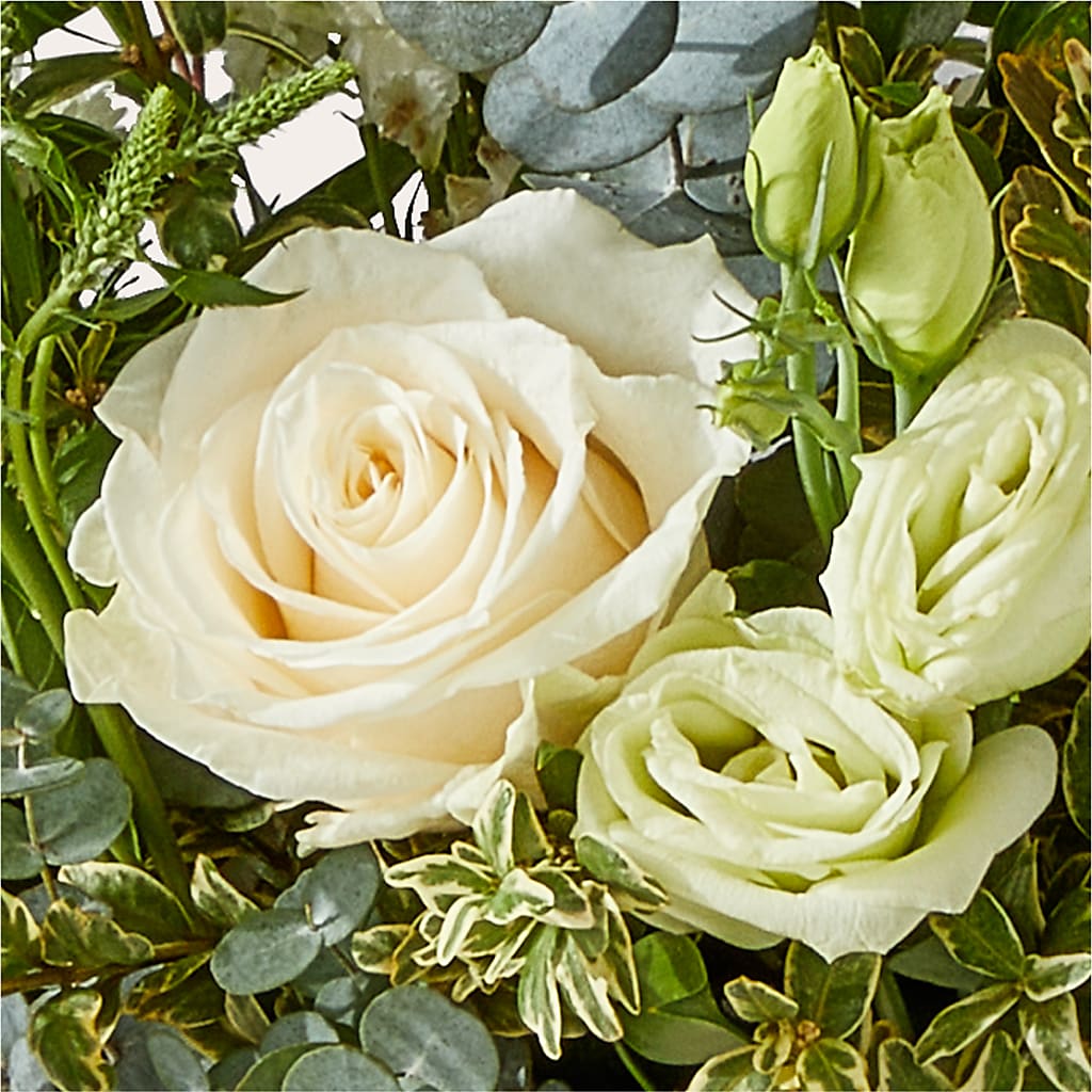 Cashmere Bouquet –  Acme, Malvern PA