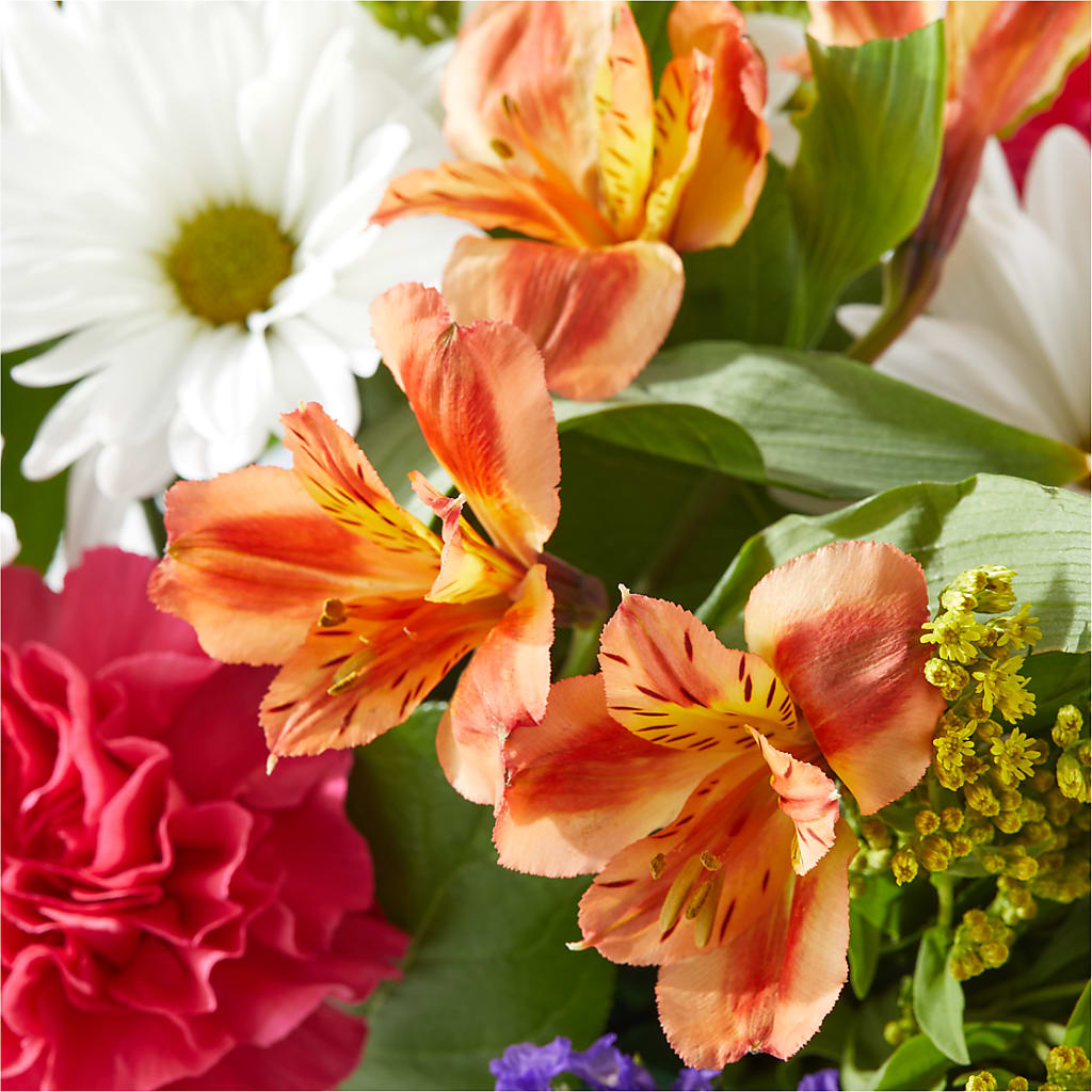 Oopsie Daisy Box Bouquet –  Acme, Malvern PA