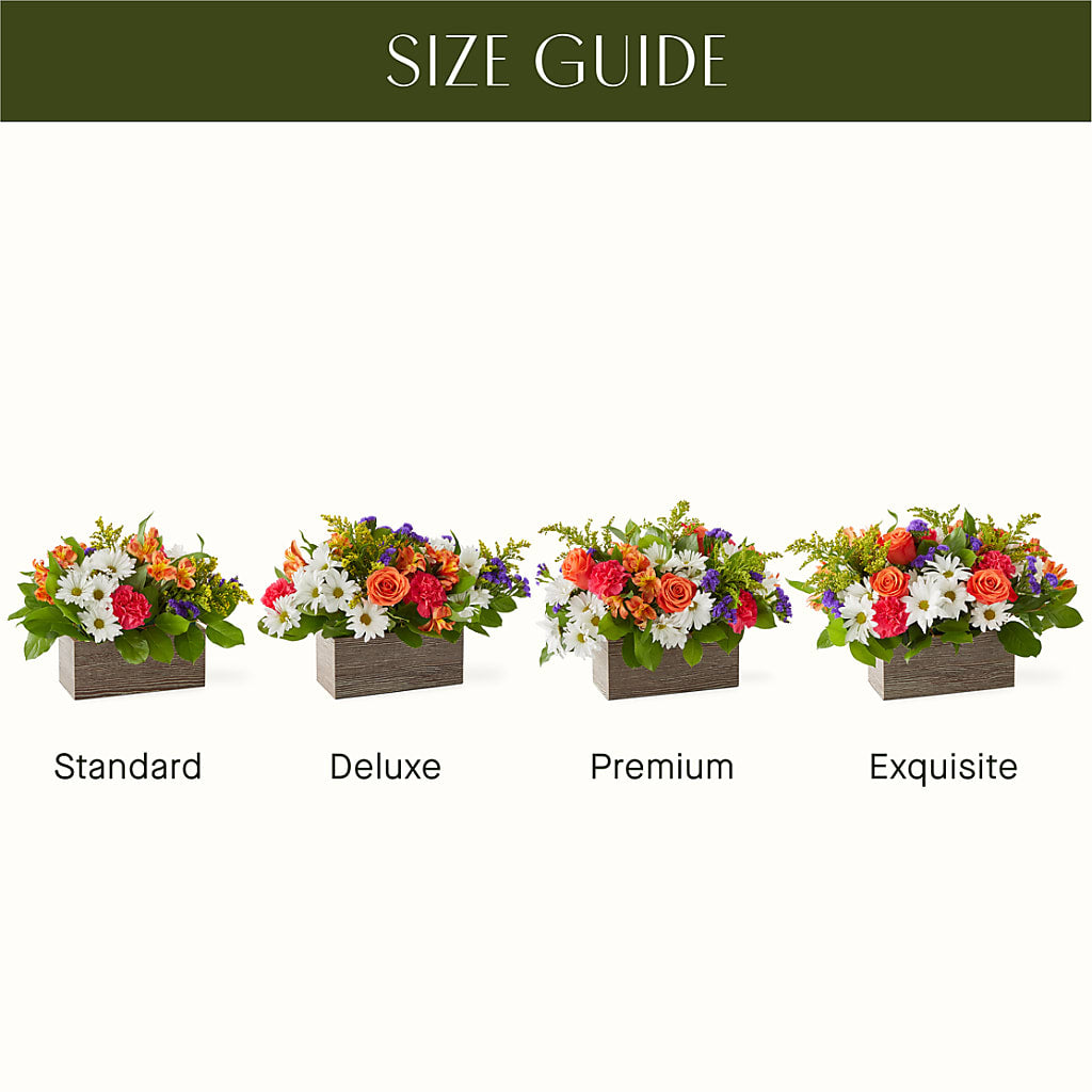 Oopsie Daisy Box Bouquet –  Acme, Malvern PA
