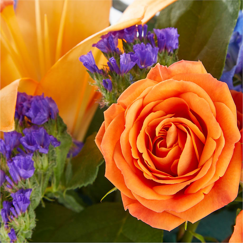 Radiant Citrus Box Bouquet –  Acme, Malvern PA