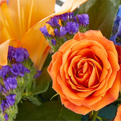 Radiant Citrus Box Bouquet –  Acme, Malvern PA