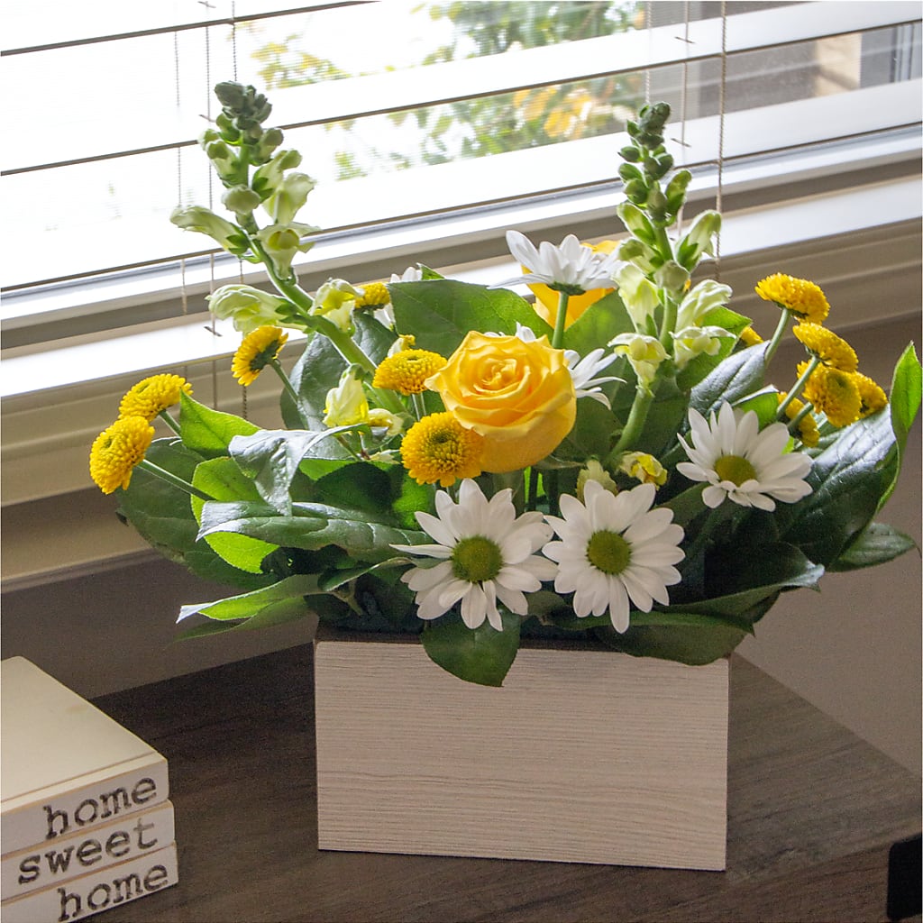 Sun Salutation Box Bouquet –  Acme, Malvern PA