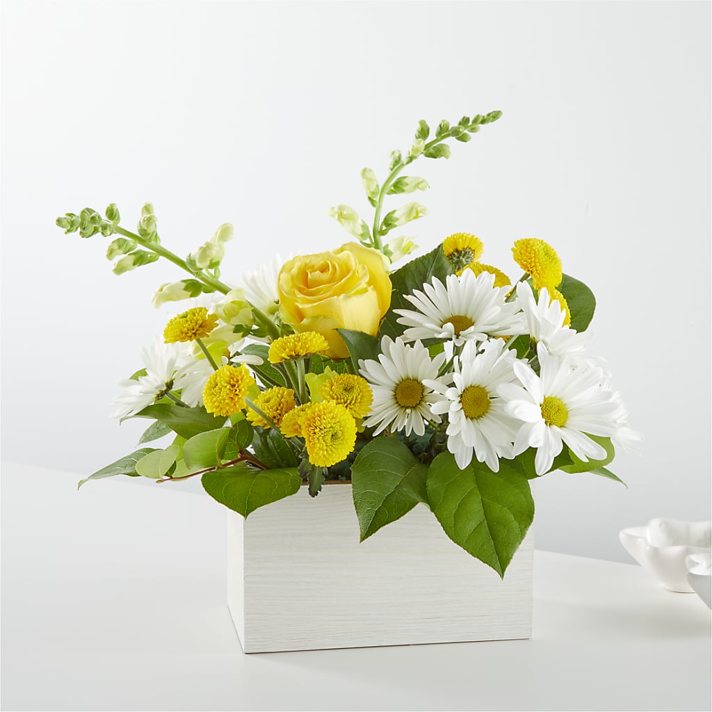 Sun Salutation Box Bouquet –  Acme, Malvern PA