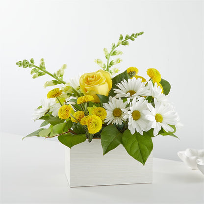 Sun Salutation Box Bouquet –  Acme, Malvern PA