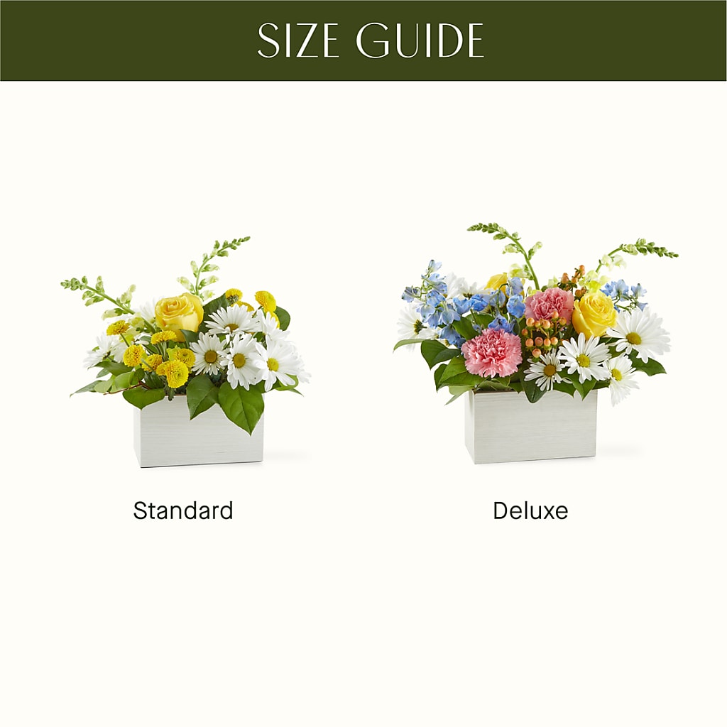 Sun Salutation Box Bouquet –  Acme, Malvern PA