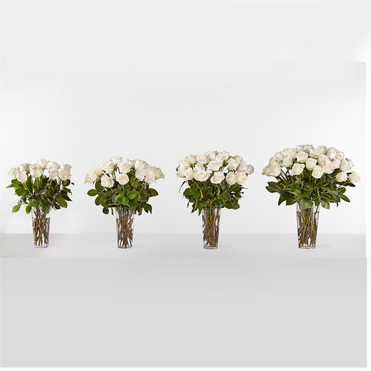 Long Stem White Rose Bouquet –  Acme, Malvern PA