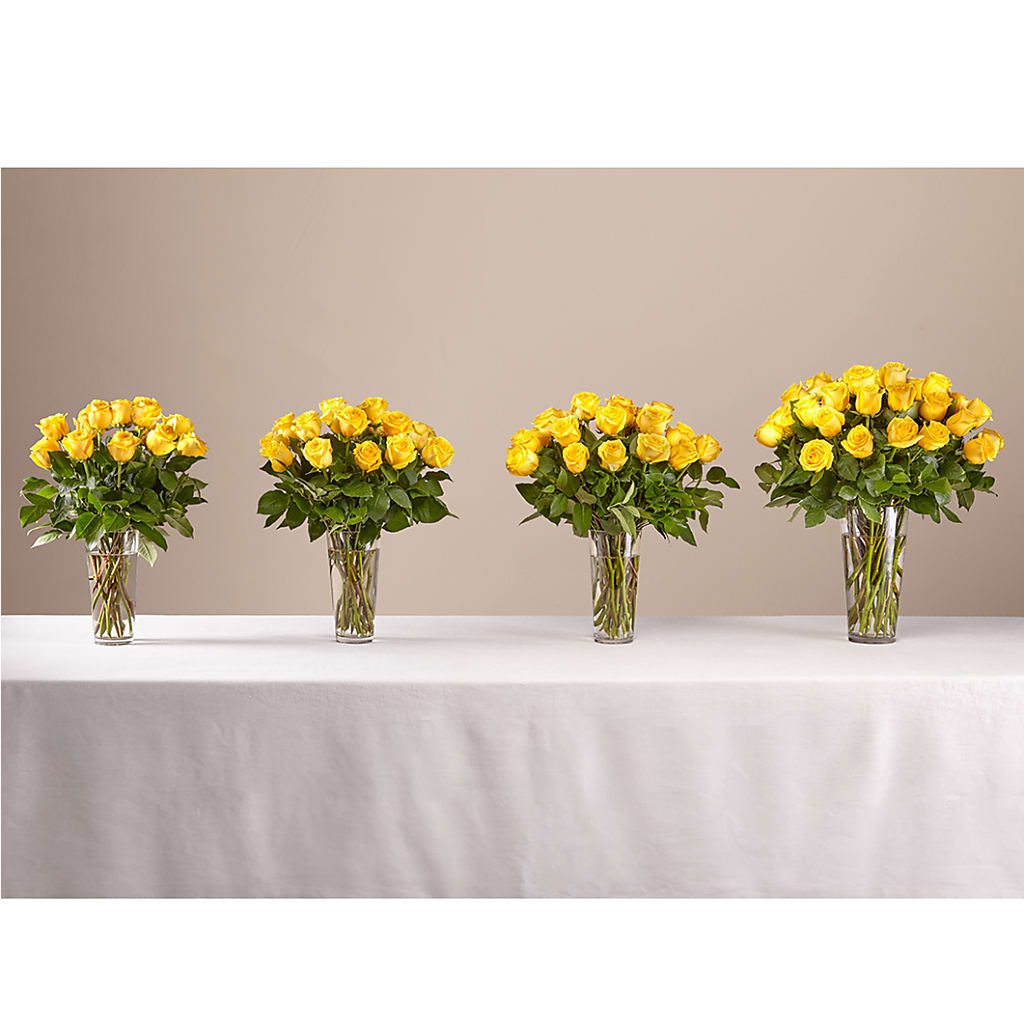 Long Stem Yellow Rose Bouquet –  Acme, Malvern PA