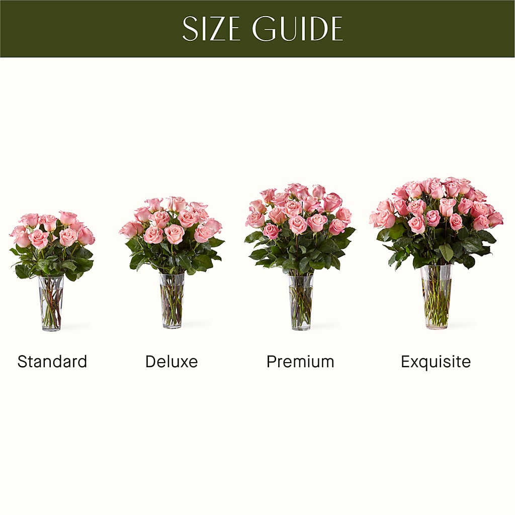 Long Stem Pink Rose Bouquet –  Acme, Malvern PA
