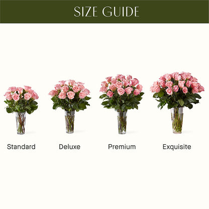 Long Stem Pink Rose Bouquet –  Acme, Malvern PA