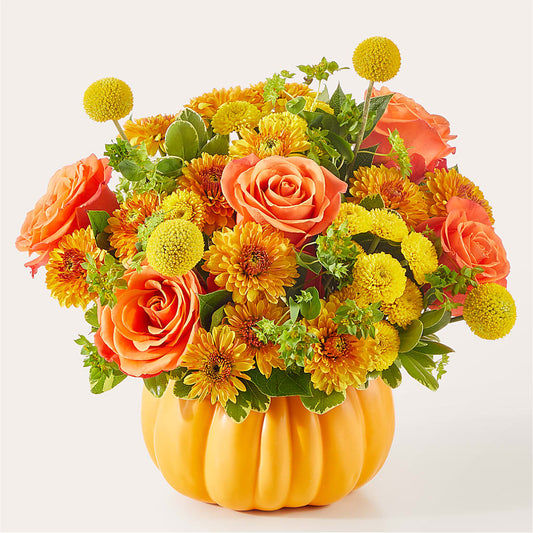 Gourdgeous Pumpkin –  Acme, Malvern PA
