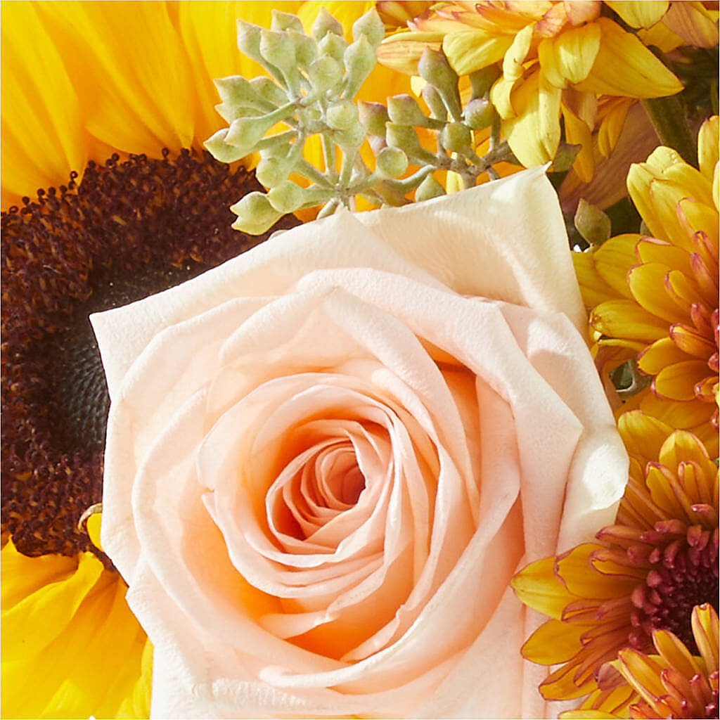 Pumpkin to Talk About Bouquet –  Acme, Malvern PA