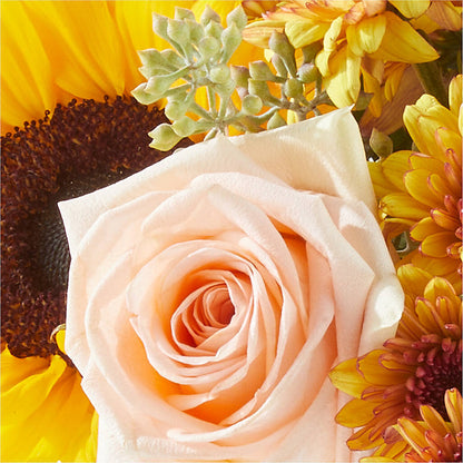 Pumpkin to Talk About Bouquet –  Acme, Malvern PA