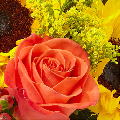 Pick of the Patch Pumpkin Bouquet –  Acme, Malvern PA