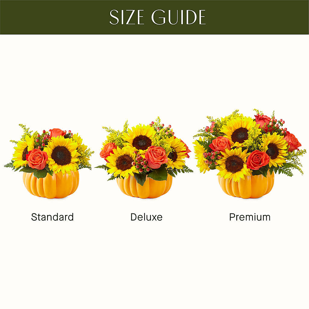 Pick of the Patch Pumpkin Bouquet –  Acme, Malvern PA