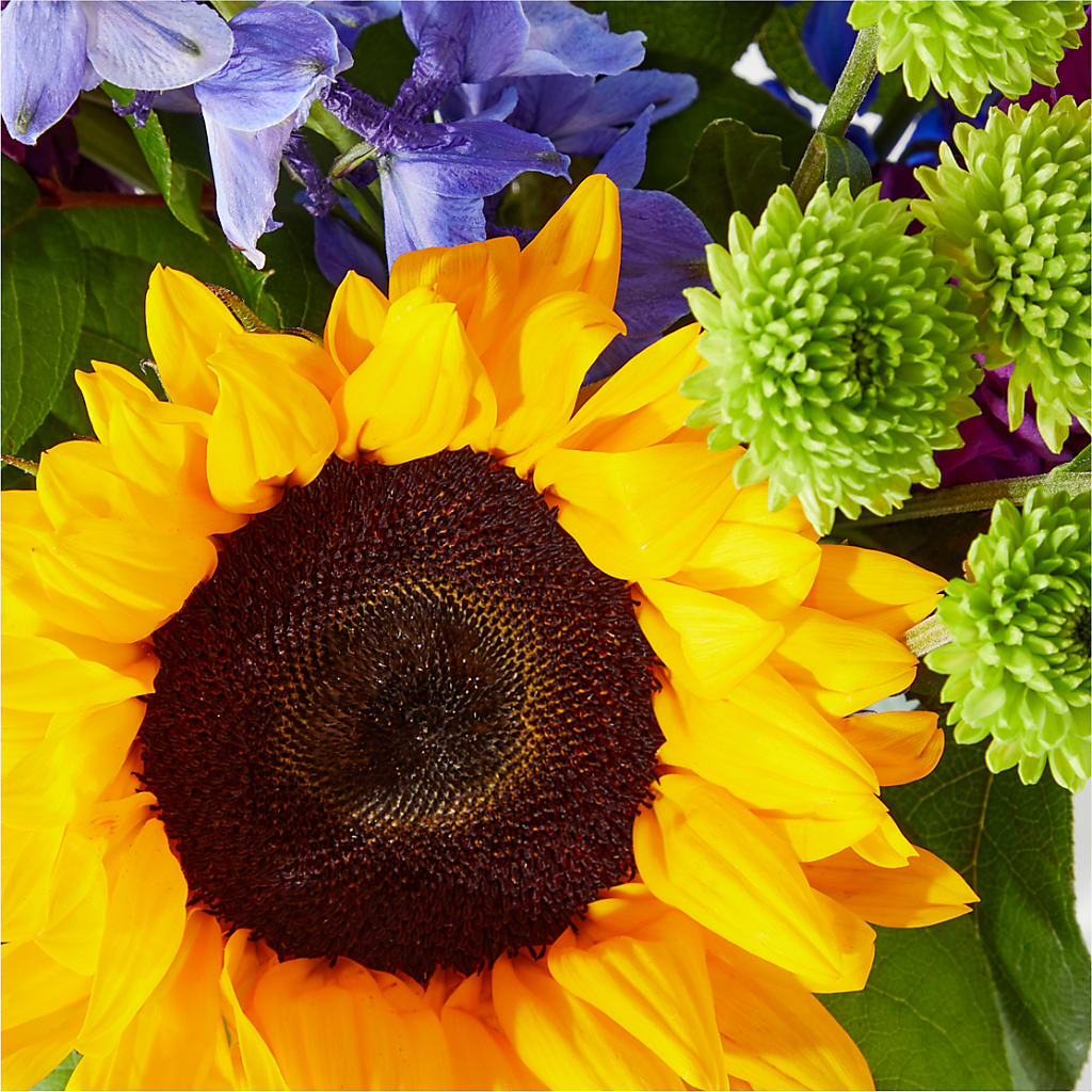 Catching Rays Bouquet –  Acme, Malvern PA