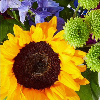 Catching Rays Bouquet –  Acme, Malvern PA
