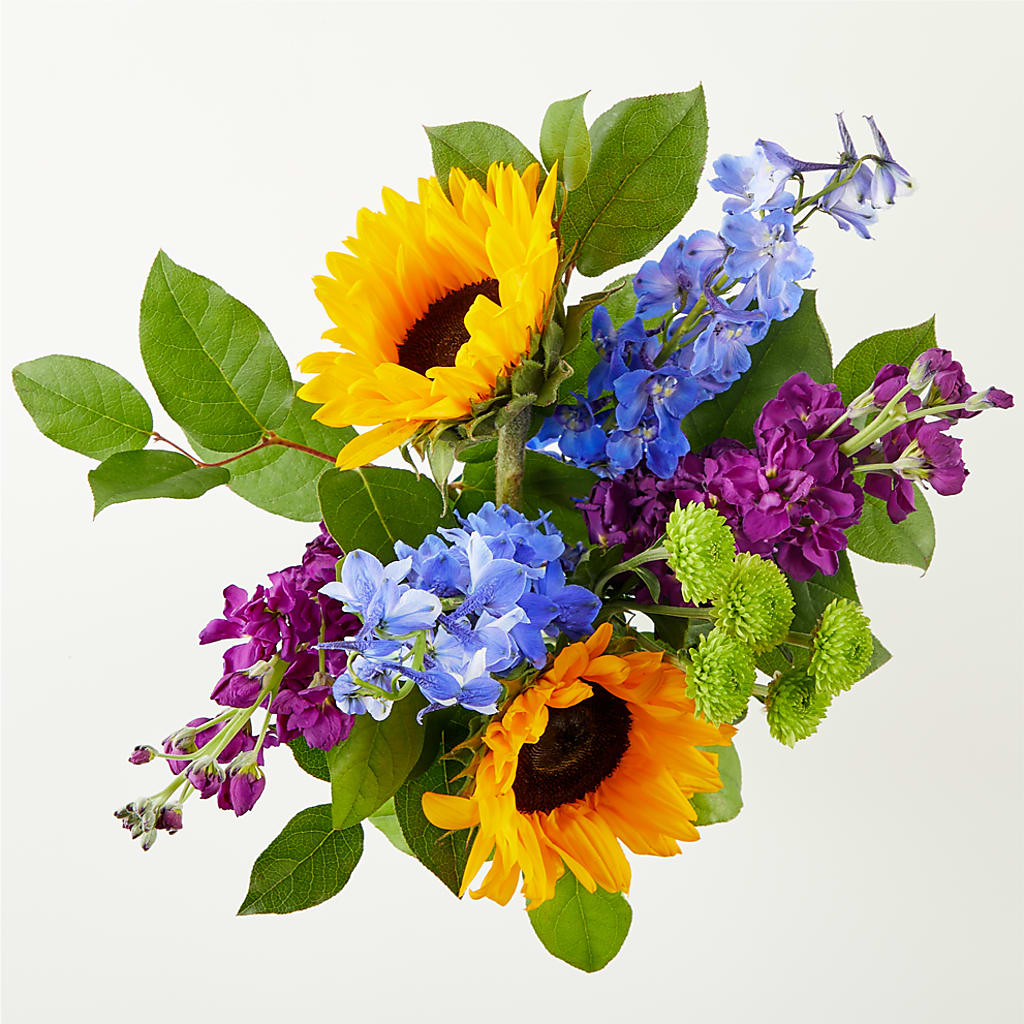 Catching Rays Bouquet –  Acme, Malvern PA