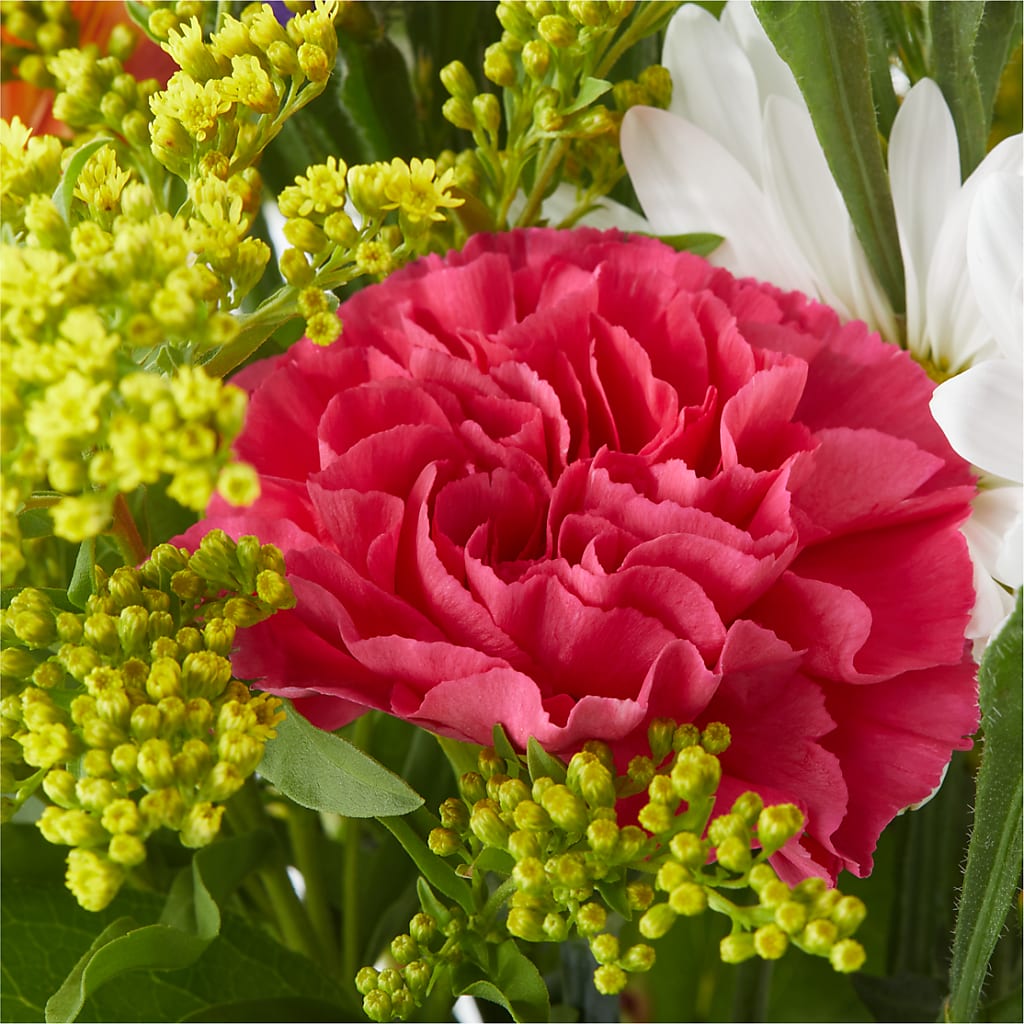Oopsie Daisy Bouquet –  Acme, Malvern PA