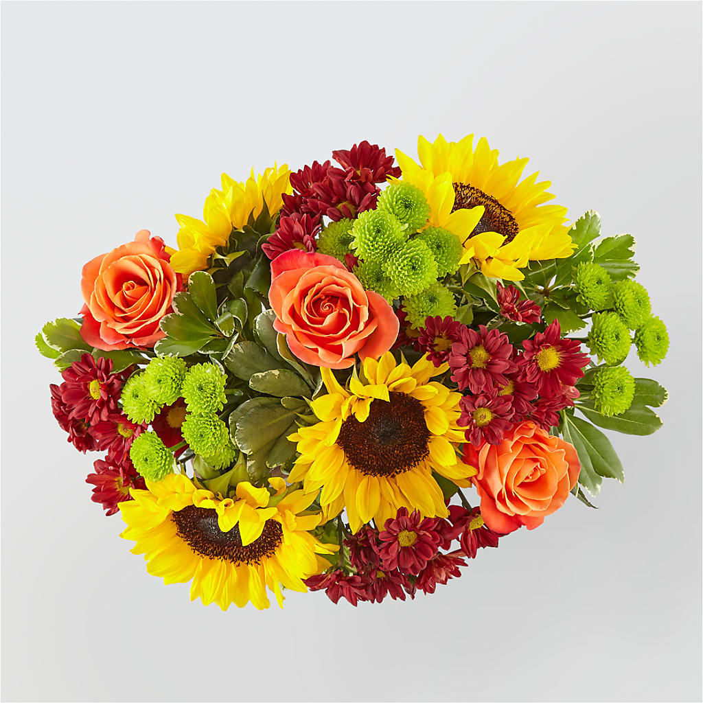 Happy Harvest Garden –  Acme, Malvern PA