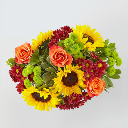 Happy Harvest Garden –  Acme, Malvern PA