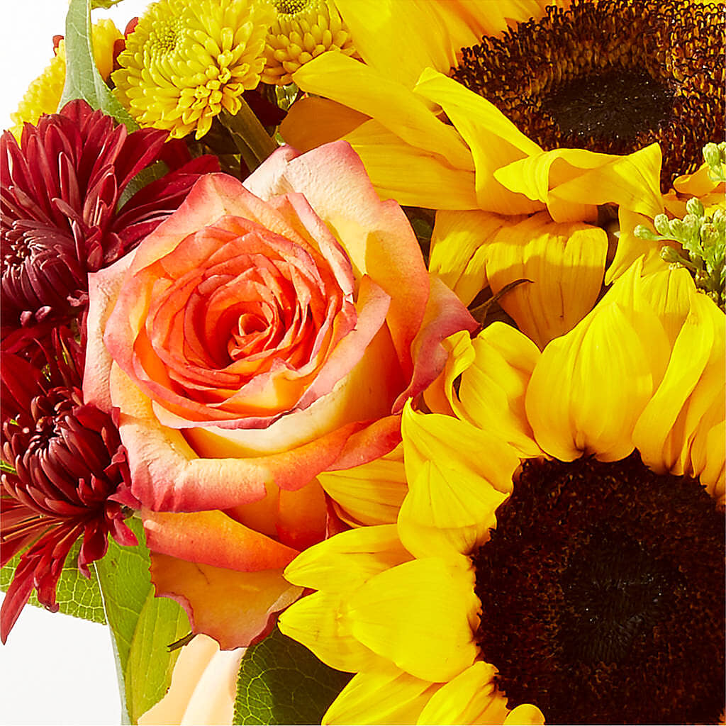 Golden Gourd Pumpkin Bouquet –  Acme, Malvern PA