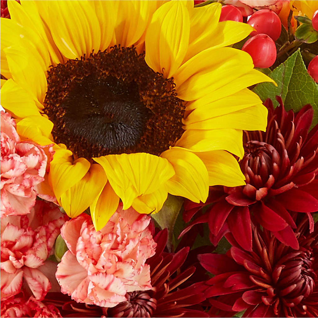 Fresh Cider Bouquet –  Acme, Malvern PA
