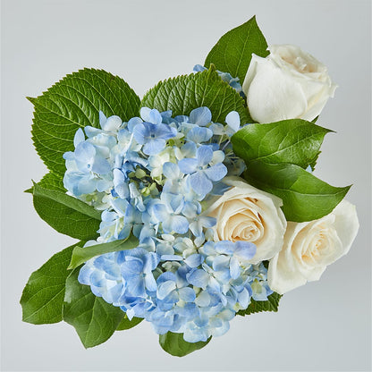 Sky Blue Delight Bouquet –  Acme, Malvern PA