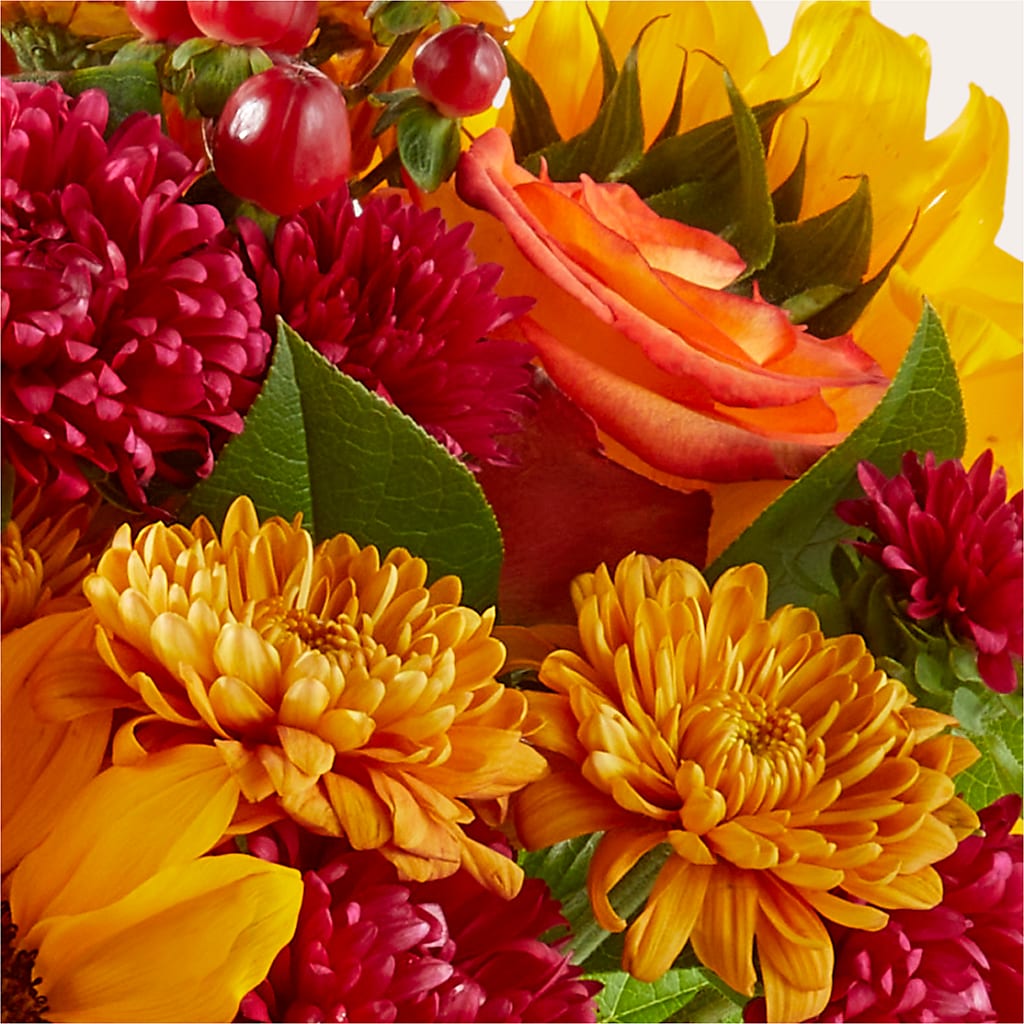 Sweater Season - A Florist Original –  Acme, Malvern PA