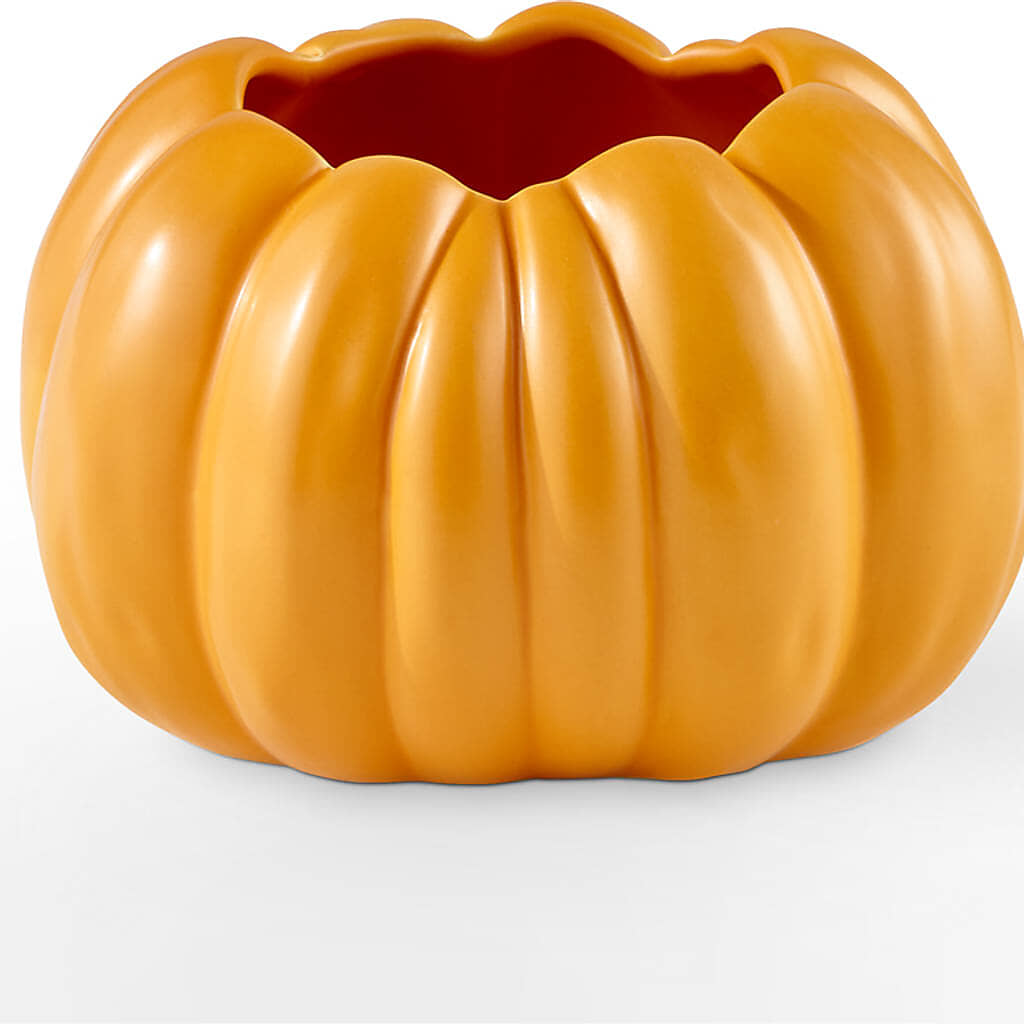 Pick of the Patch Pumpkin Bouquet –  Acme, Malvern PA