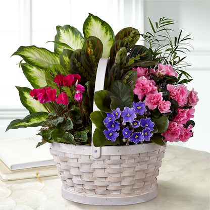 Peaceful Garden Planter –  Acme, Malvern PA
