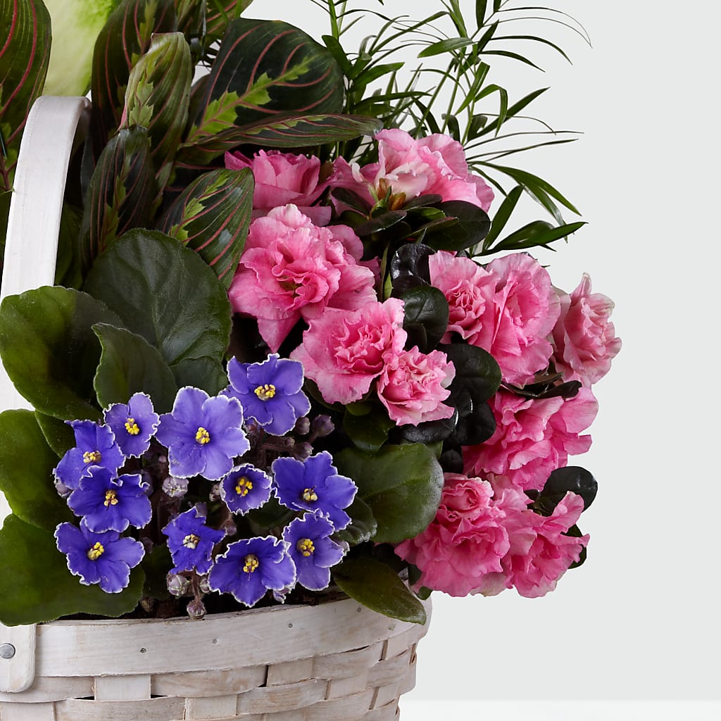 Peaceful Garden Planter –  Acme, Malvern PA