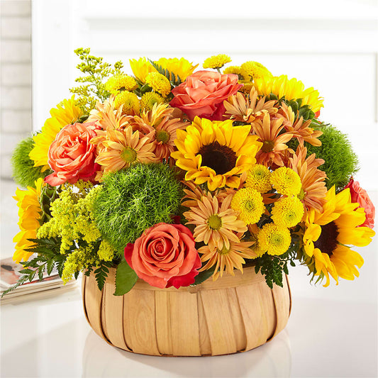 Harvest Sunflower Basket –  Acme, Malvern PA