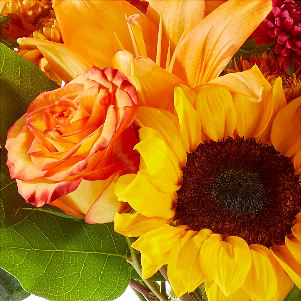 Fall Day Bouquet –  Acme, Malvern PA